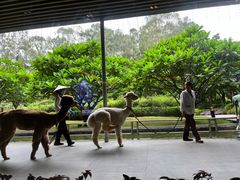 -南宁荔园维景国际酒店·荔园中餐厅