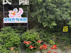-广州长隆飞鸟乐园