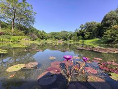 -云溪植物园