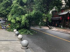 -龙凤瓦罐煨汤馆(清江东路店)