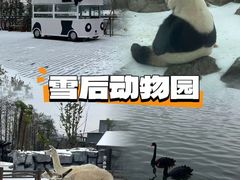 -武汉动物园