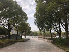 -新江湾城公园
