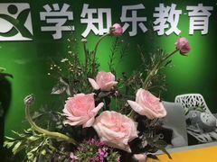 -学知乐教育·幼小衔接·小学科辅导(嘉定镇校区)