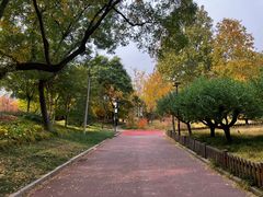 -莲花池公园