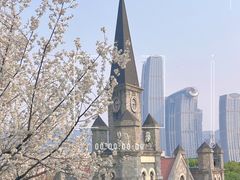 -重庆市江北嘴中央商务区中央公园