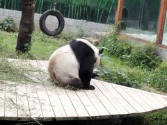 -南昌动物园