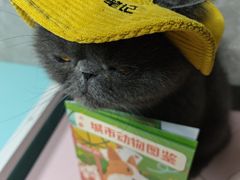 -瑞虹新天地月亮湾