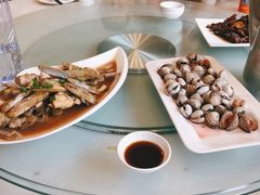 -华盛丰温州大排档(东三环南路店)