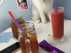 -喵的天空名猫咖啡馆·撸猫·猫舍·用品