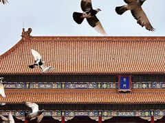 -故宫博物院(故宫)