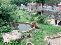 -无锡动物园·太湖欢乐园