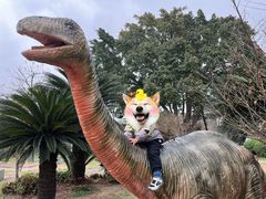 -自贡恐龙博物馆