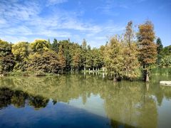 -海珠湖公园