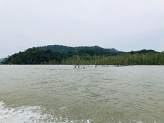 -巴哥国家公园