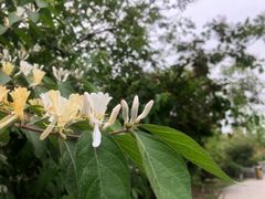 -永定河休闲森林公园