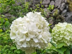 -MOJ coffee(瓯海泽雅水碓坑店)