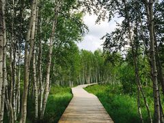 -北极村旅游风景区