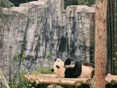 -红山森林动物园
