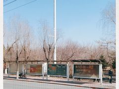 -长春公园(普阳街道)