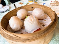 渔村野生虾饺皇-南海渔村(珠江新城店)
