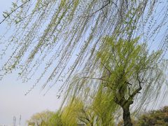 -东湖景区
