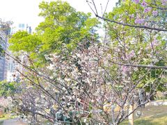 -求水山公园