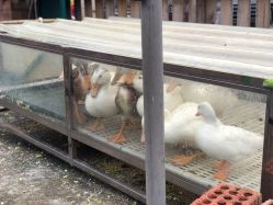 -梦田都市农场(银泰城店)