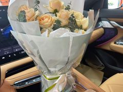 -天猫养车贴膜轻改·蓝电(优匹康桥东路店)