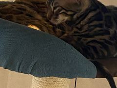 -Me Coffee下午茶艺术空间