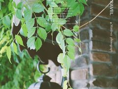 -杭州西湖风景名胜区-满觉陇四眼井