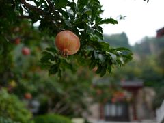 -西安华清御汤酒店