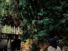 -燕晗山郊野公园