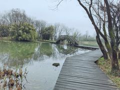 -西溪国家湿地公园