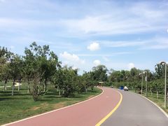 iphone_upload_pic-武清南湖绿博园