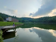 -武陵山森林公园