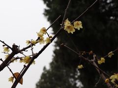 -颐和园