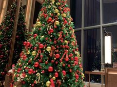 -嘉定凯悦·咖啡厅