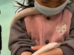 -藦茜花园宠物主题亲子互动体验馆(国顺东路店)