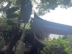 -大妙火锅·非物质文化遗产(东湖公园店)