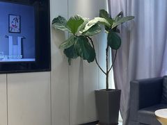 -同步齿科·数字化正畸种植口腔中心(前山店)