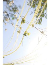 -俏江南户外宴会花园·梓塘婚礼堂(马场道店)