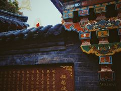 -护国法轮寺
