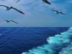 -星海广场