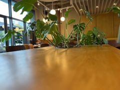 -Wagas沃歌斯(汇智店)