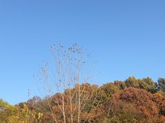 -南京市江宁方山