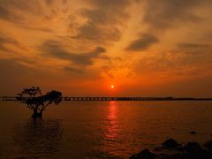 -宝安西湾红树林湿地公园