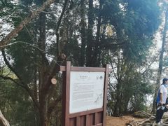 -井冈山风景名胜区-黄洋界