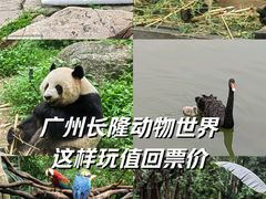 -广州长隆野生动物世界