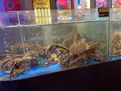 水产区-蟹之国·精品蟹料理(极地店)