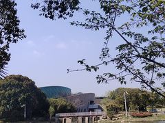 -新江湾城公园
